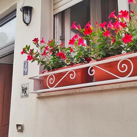 Casa Poseidonia Hotell Capri Exteriör bild